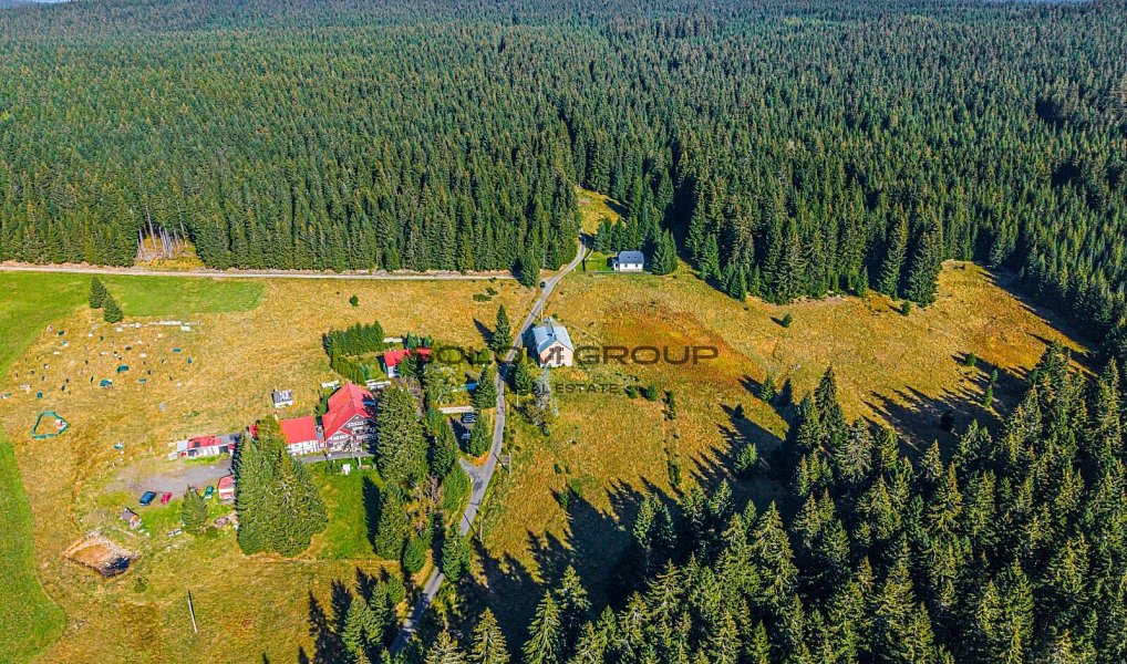 Prodej komerčního pozemku 10 387 m², Potůčky – náhled fotky 5
