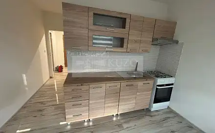 Pronájem bytu 1+1 42 m²