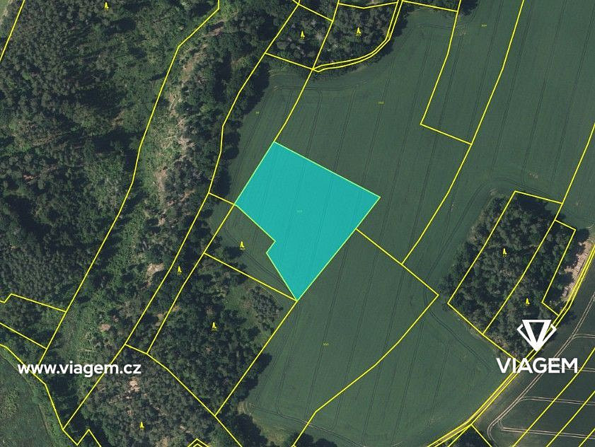Prodej pole 5 729 m² – fotografie 4