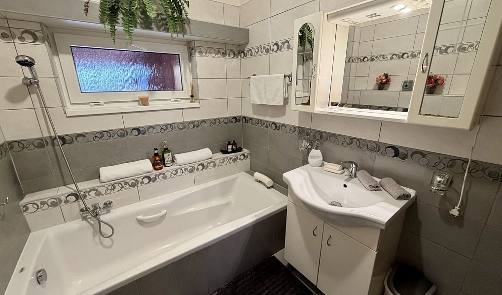 Prodej domu 219 m² s pozemkem 456 m², Mladá Boleslav – náhled fotky 7