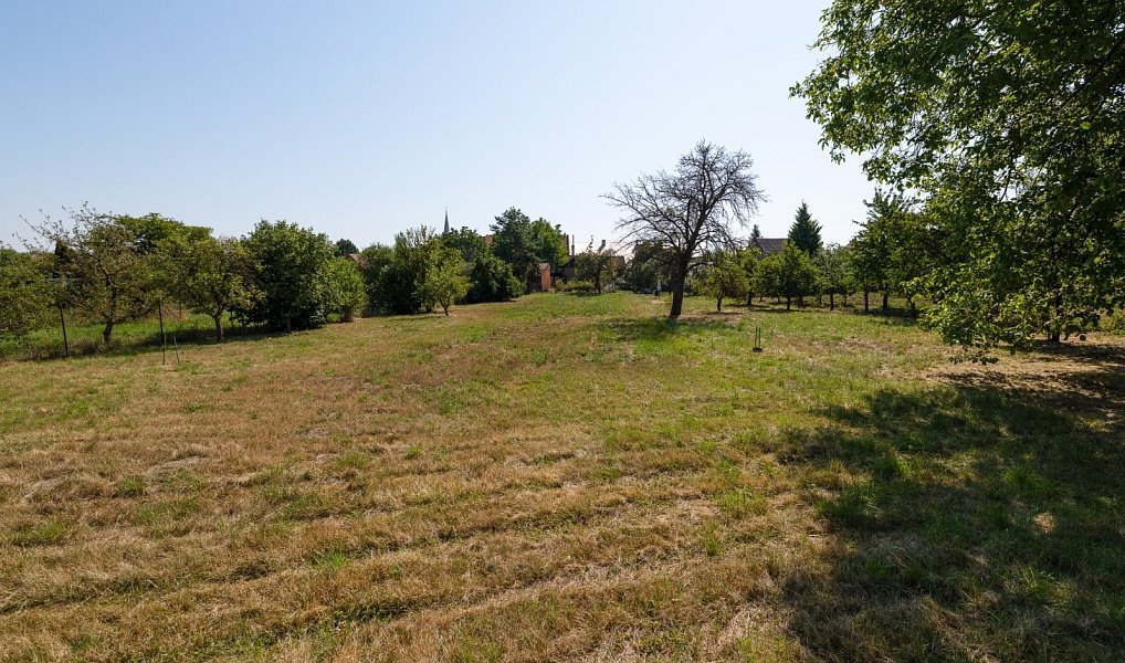 Prodej domu 227 m² s pozemkem 3 154 m², Křenovice – náhled fotky 16