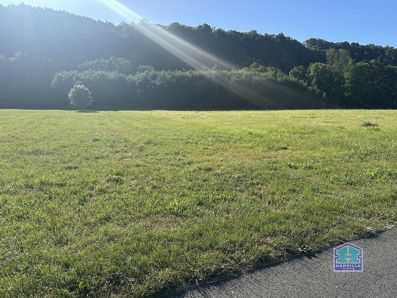 Prodej louky 2 000 m² - Widok 4