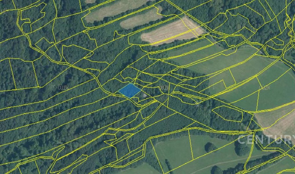Prodej lesa 40 228 m², Nový Jičín – náhled fotky 14