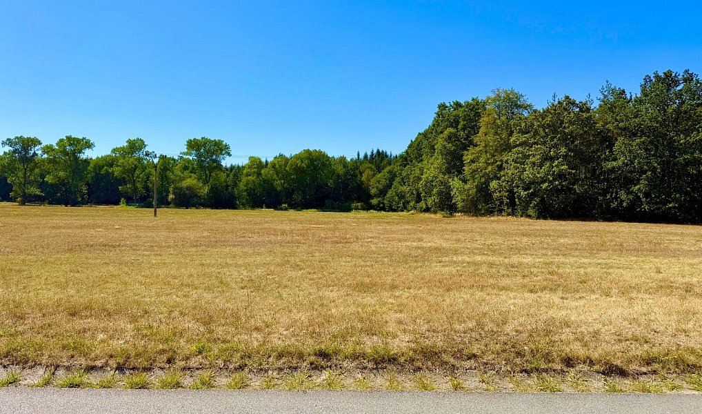 Prodej stavebního pozemku 906 m², Horní Jelení – náhled fotky 2