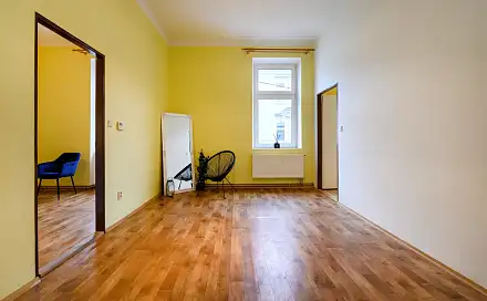 Pronájem bytu 2+1 66 m², Radyňská, Plzeň - Východní Předměstí