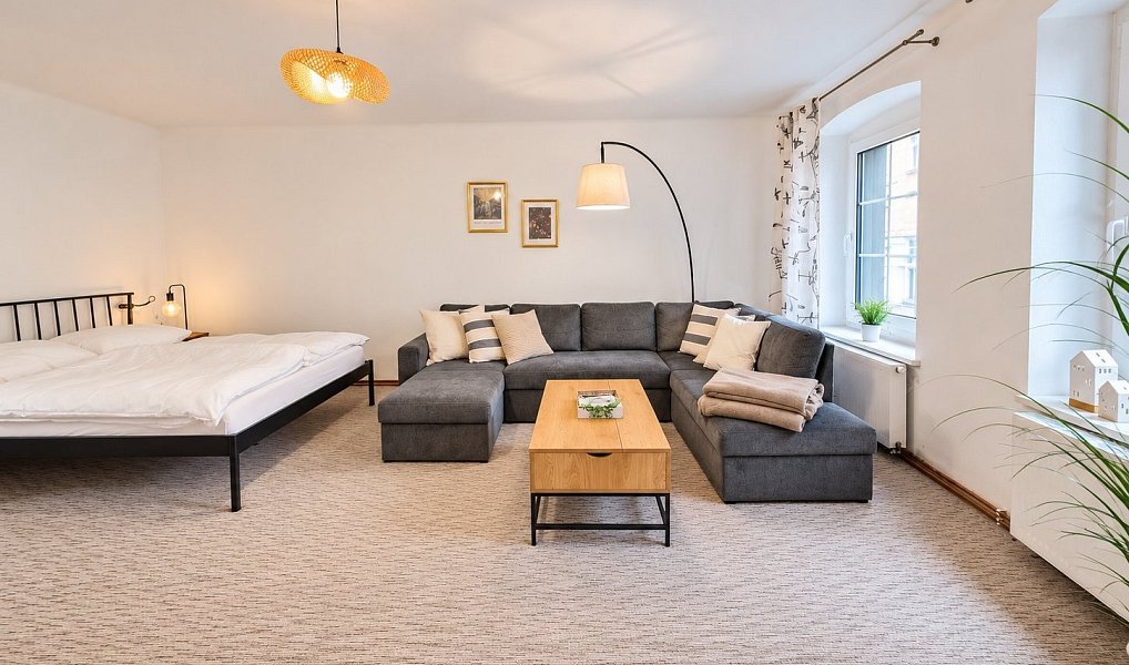 Pronájem bytu 2+1 72 m², Liberec – náhled fotky 11