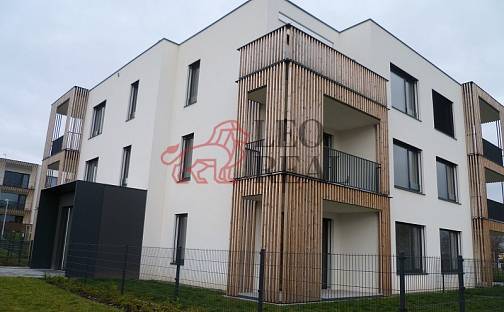 Pronájem bytu 1+kk 57 m², Olomouc - Nová Ulice