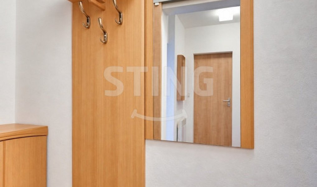 Prodej domu 250 m² s pozemkem 933 m², Velká Bíteš – náhled fotky 13