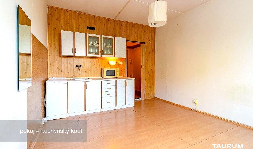 Prodej bytu 1+kk 20 m², Plzeň – náhled fotky 4