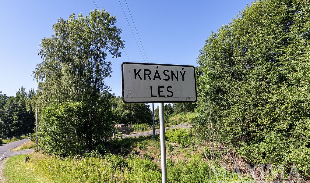 Prodej pozemku 6 397 m², Krásný Les – náhled fotky 12