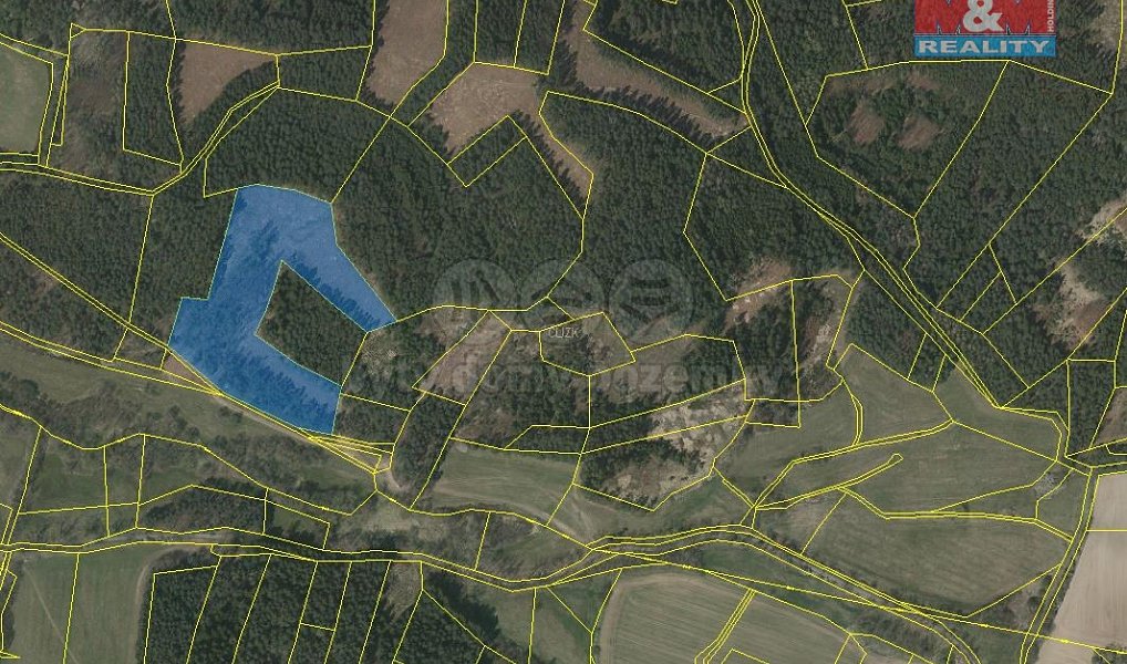 Prodej lesa 26 262 m², Přechovice – náhled fotky 2