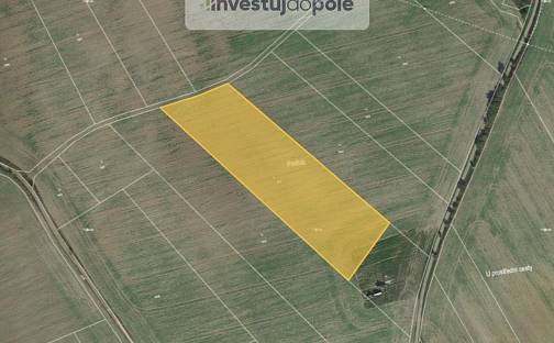 Prodej louky 11 559 m², Břasy - Kříše, okres Rokycany