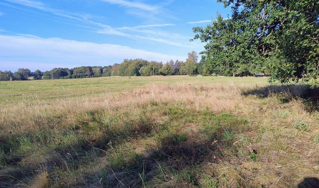 Prodej stavebního pozemku 842 m², Libá – náhled fotky 2