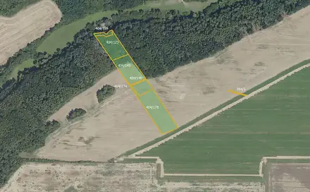 Prodej pole 19 741 m², Vyšehořovice, okres Praha-východ