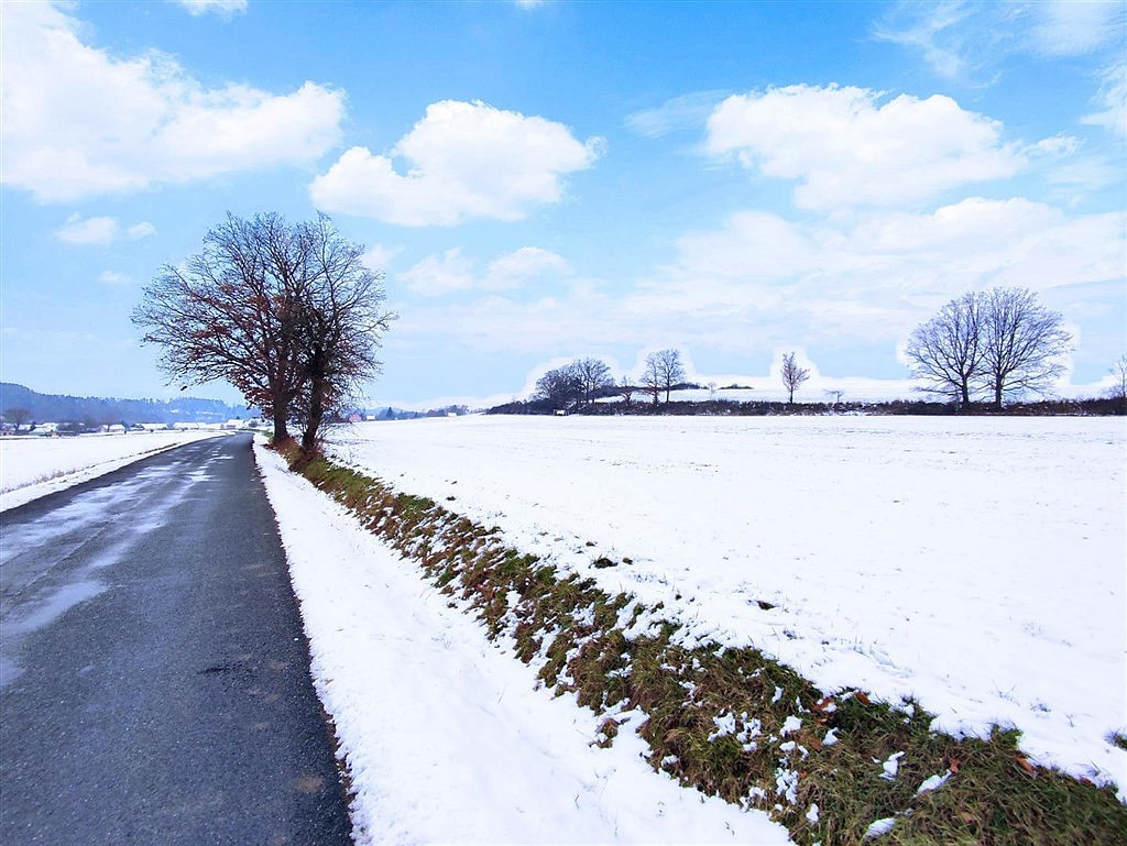 Prodej pole 13 318 m²