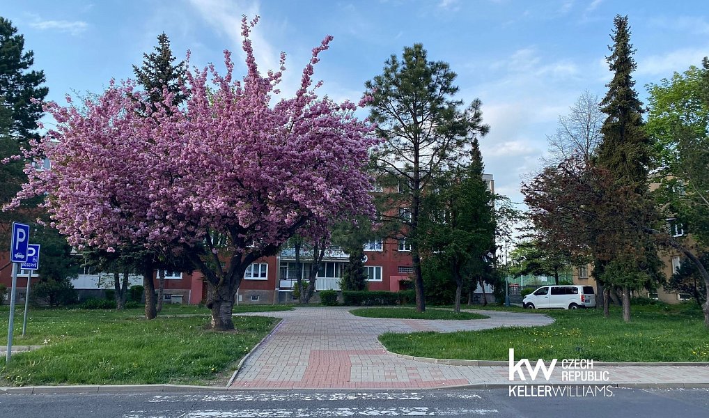 Prodej bytu 2+1 55 m², Bílina – náhled fotky 18