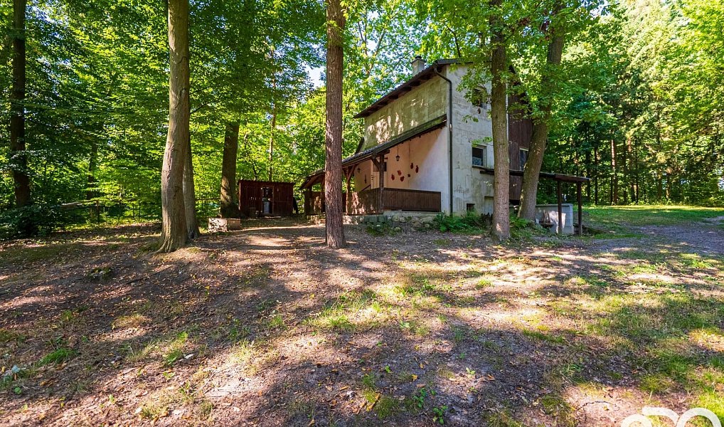 Prodej chaty/chalupy 30 m² s pozemkem 30 m², Ráby – náhled fotky 8