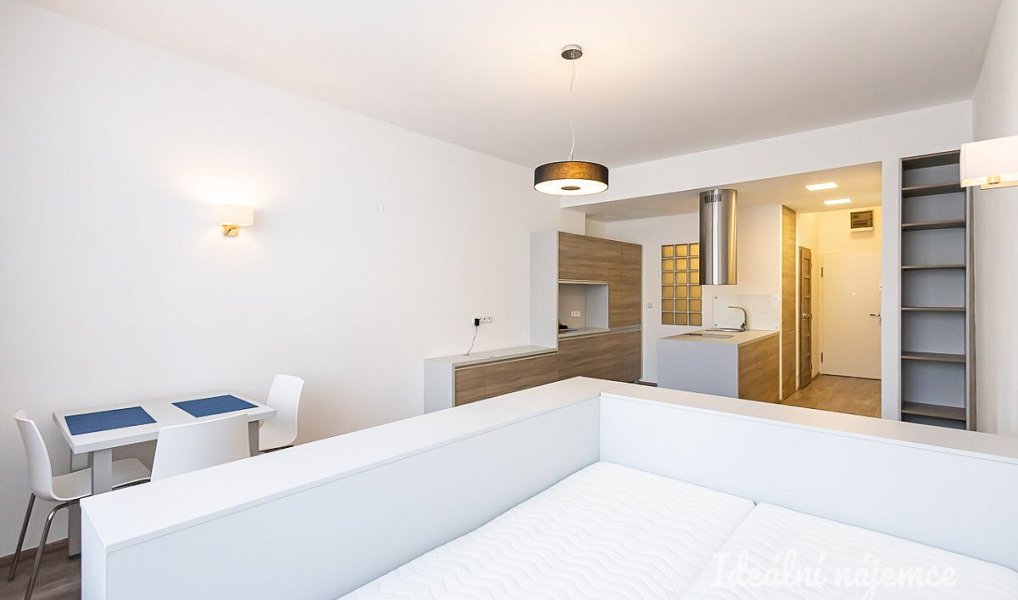 Pronájem bytu 1+kk 38 m², Praha – náhled fotky 6