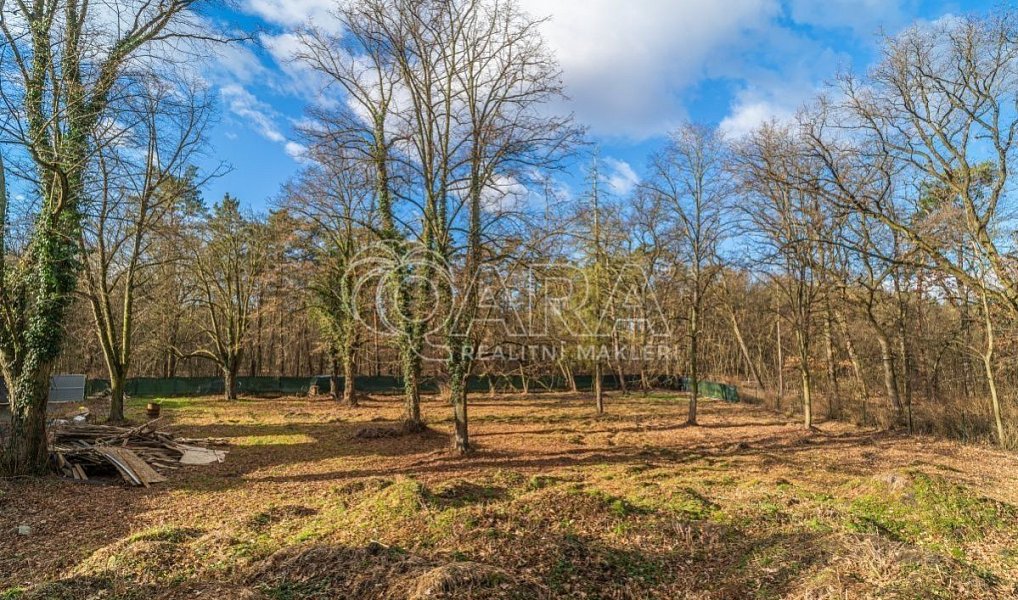 Prodej stavebního pozemku 6 090 m², Ovčáry – náhled fotky 6