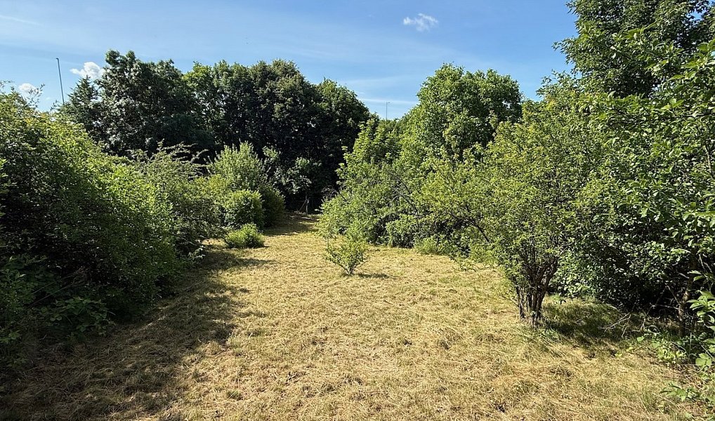 Prodej stavebního pozemku 475 m², Silůvky – náhled fotky 6