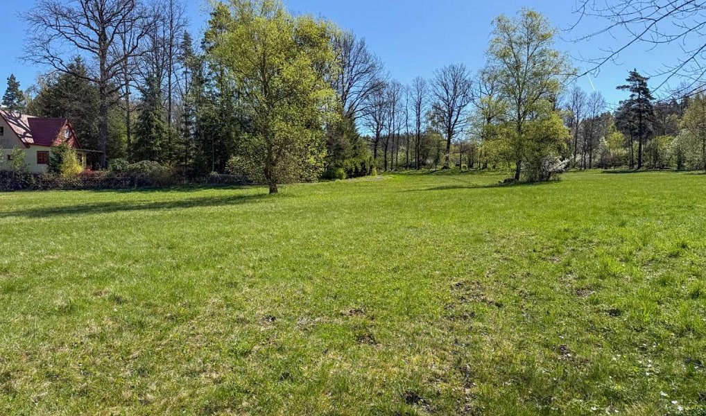 Prodej stavebního pozemku 8 053 m², Děpoltovice – náhled fotky 7