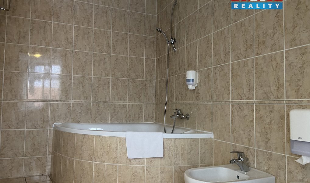 Pronájem bytu 4+kk 110 m², Plzeň – náhled fotky 18