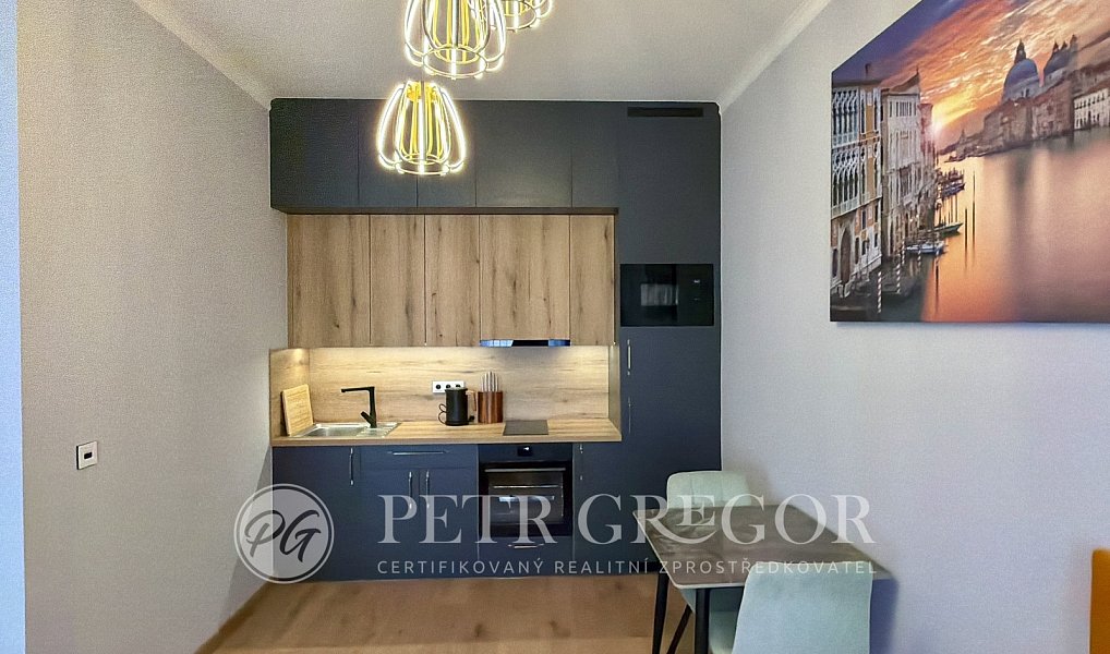 Pronájem bytu 1+kk 35 m², Poděbrady – náhled fotky 7