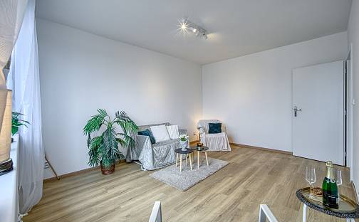 Pronájem bytu 3+1 61 m², Werichova, Ústí nad Labem - Severní Terasa