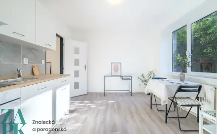 Pronájem bytu 1+1 38 m², Purkyňova, Ústí nad Labem - Střekov