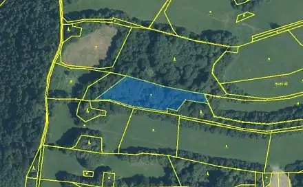 Prodej lesa 3 916 m², Nový Jičín - Straník