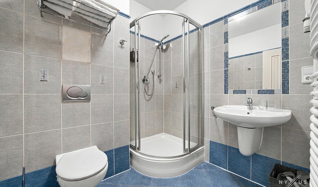 Prodej bytu 1+kk 24 m², Praha – náhled fotky 6