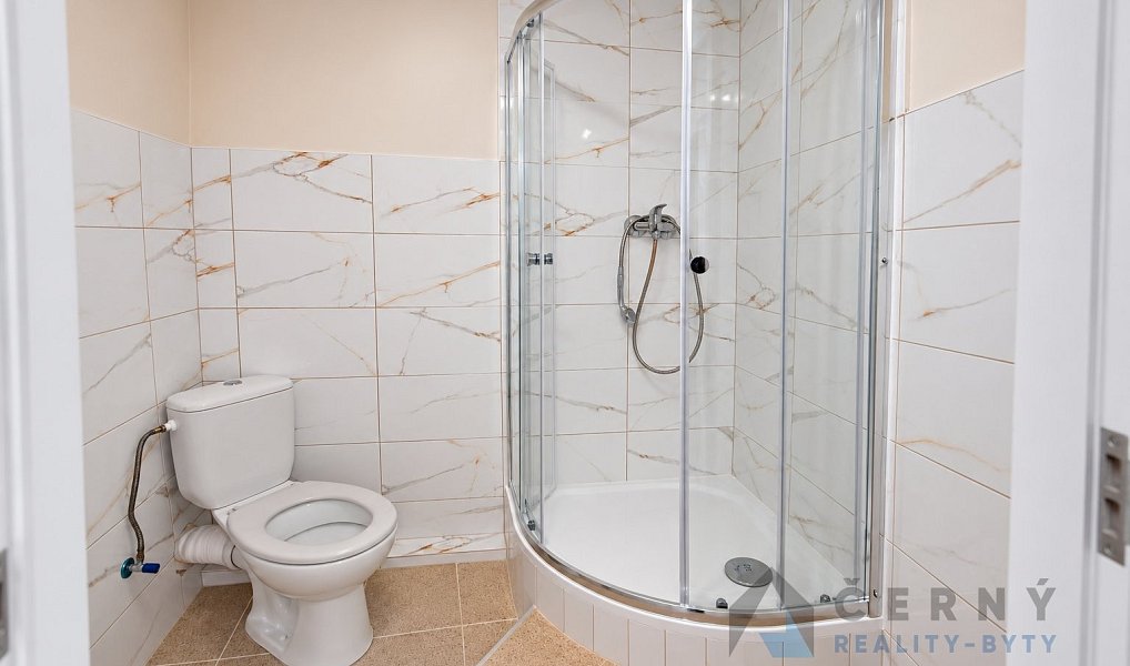 Pronájem bytu 3+1 110 m², Liberec – náhled fotky 12