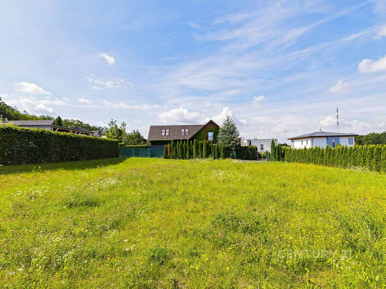 Prodej stavebního pozemku 800 m² – fotografie 3