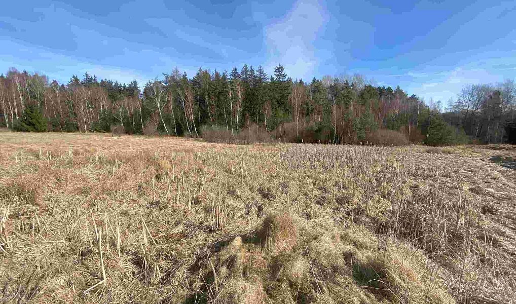 Prodej pole 15 408 m², Františkovy Lázně – náhled fotky 4