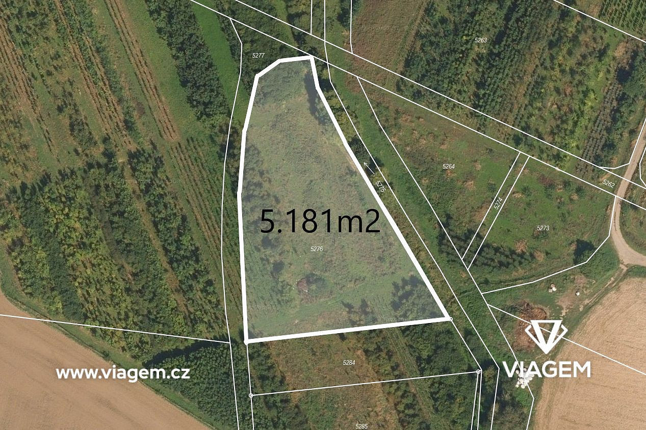 Prodej pole 5 181 m²