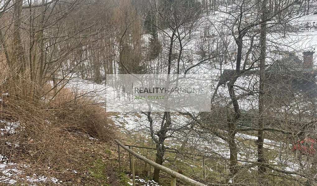 Prodej stavebního pozemku 3 206 m², Benecko – náhled fotky 21