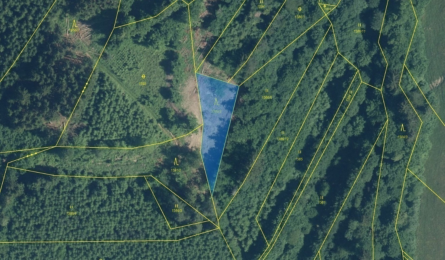 Dražba lesa 910 m² — photo 3