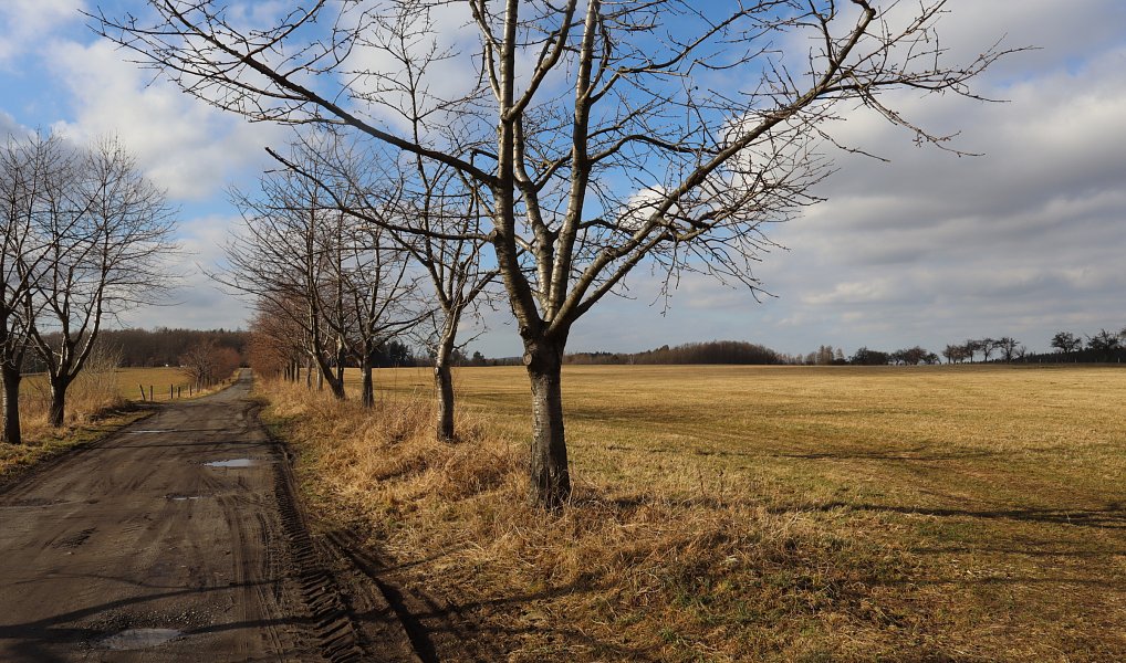 Prodej stavebního pozemku 45 443 m², Frýdlant – náhled fotky 4