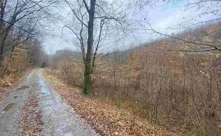 Prodej pole 3 207 m², Ždánice, okres Hodonín