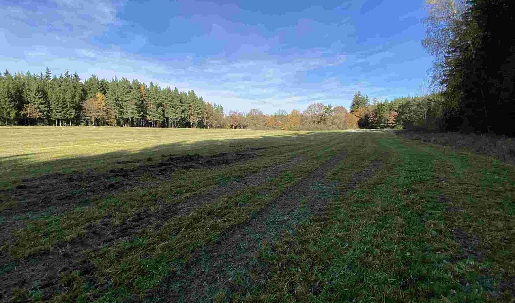 Prodej pole 10 862 m², Blatná – náhled fotky 3