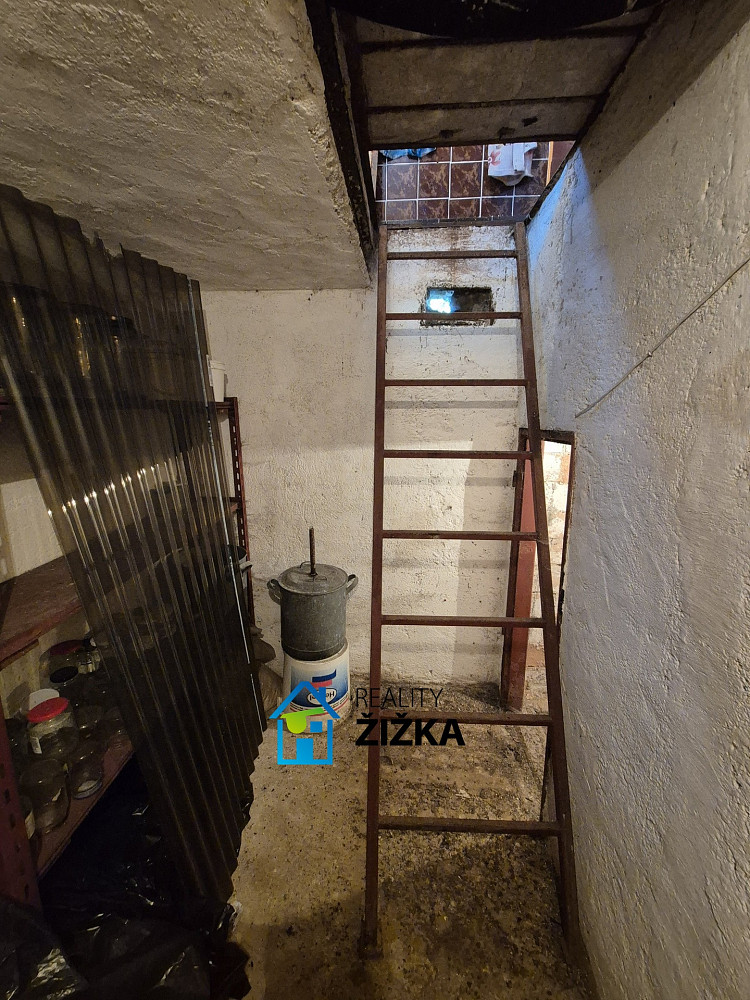 Fotka 10 z 11