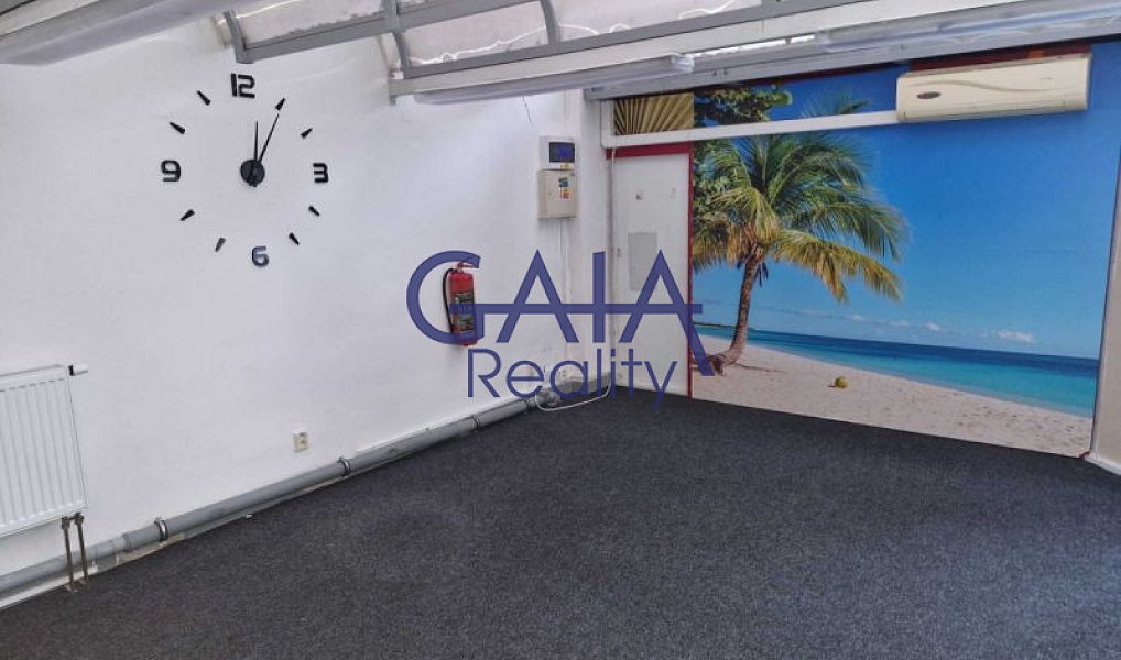 Pronájem obchodních prostor 27 m², Prostějov – náhled fotky 4