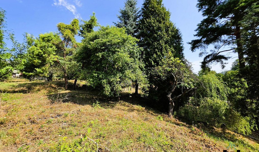 Prodej zahrady 630 m², Jílové – náhled fotky 3