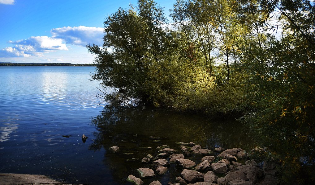 Prodej stavebního pozemku 1 356 m², Česká Skalice – náhled fotky 16