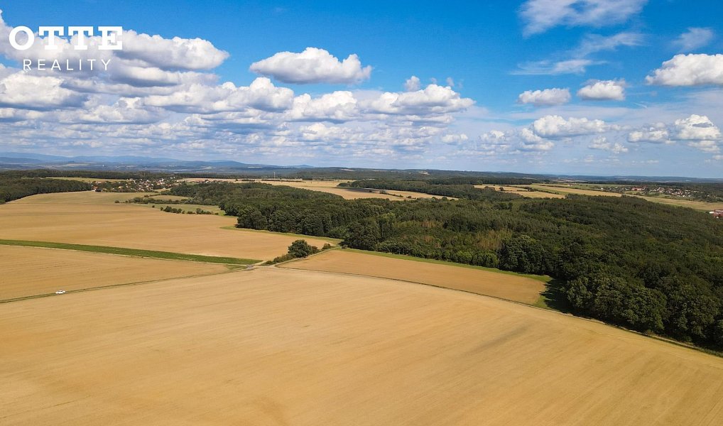 Prodej lesa 985 653 m², Žerčice – náhled fotky 15