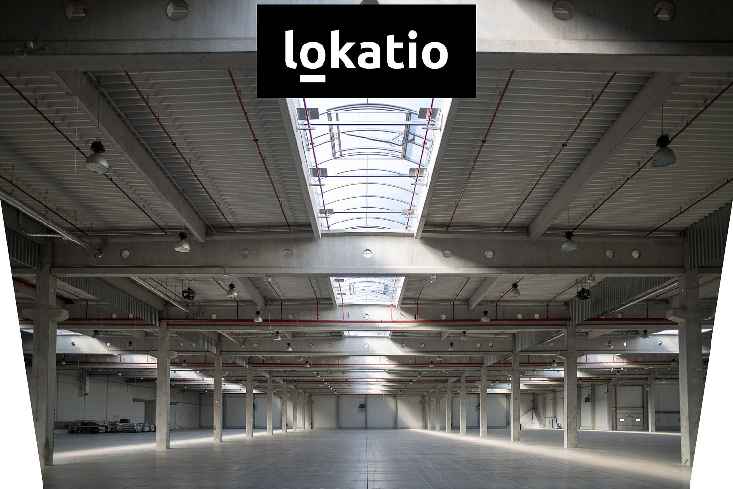 Pronájem skladovacích prostor 16 657 m² — photo 3