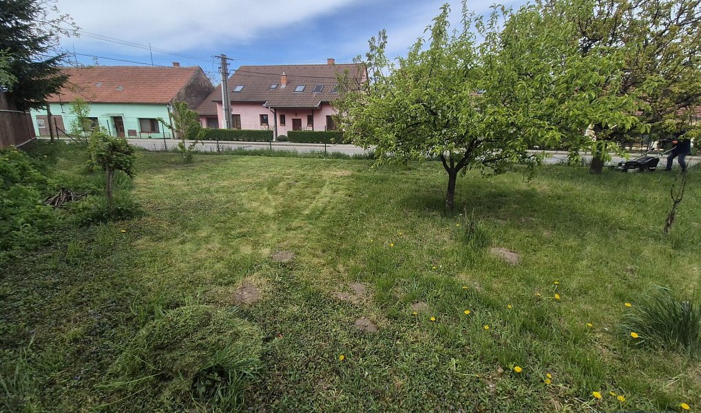 Prodej domu 135 m² s pozemkem 768 m², Horní Věstonice – náhled fotky 4