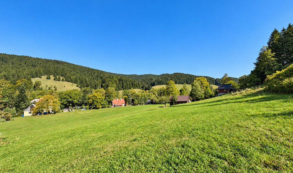 Prodej stavebního pozemku 3 256 m², Velké Karlovice – náhled fotky 11