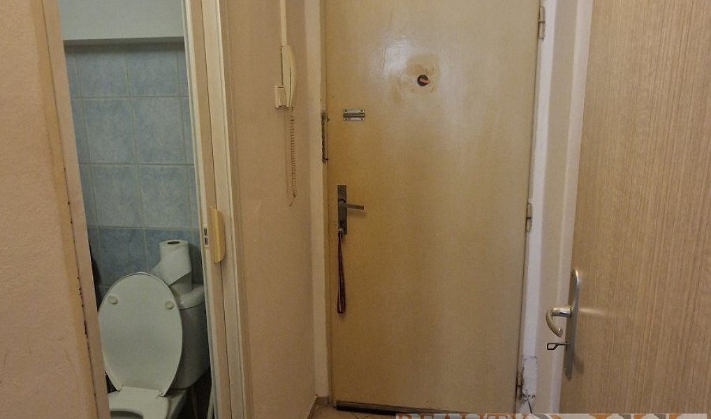 Prodej bytu 1+1 30 m², Plzeň – náhled fotky 8