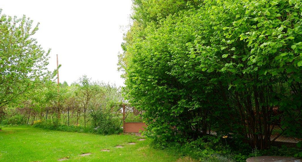 Prodej chaty/chalupy 136 m² s pozemkem 535 m² – pohled 6